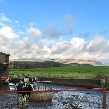 Harebeck * 高斯福斯